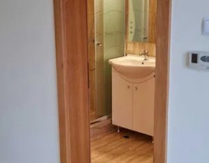 Maison 2 chambres à louer dans Cluj-napoca, zone Andrei Muresanu