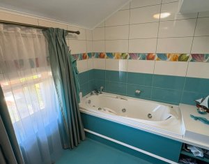 House 10 rooms for sale in Cluj-napoca, zone Andrei Muresanu