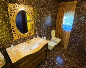 House 10 rooms for sale in Cluj-napoca, zone Andrei Muresanu