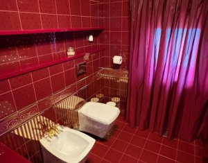 House 10 rooms for sale in Cluj-napoca, zone Andrei Muresanu