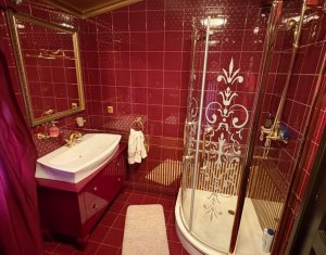 House 10 rooms for sale in Cluj-napoca, zone Andrei Muresanu