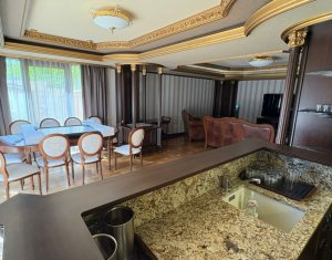 House 10 rooms for sale in Cluj-napoca, zone Andrei Muresanu