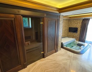 House 10 rooms for sale in Cluj-napoca, zone Andrei Muresanu
