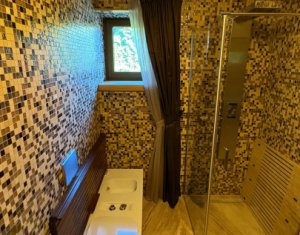 House 10 rooms for sale in Cluj-napoca, zone Andrei Muresanu