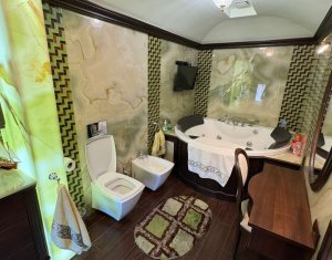 House 10 rooms for sale in Cluj-napoca, zone Andrei Muresanu