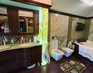 House 10 rooms for sale in Cluj-napoca, zone Andrei Muresanu