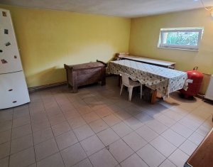 Bureau à louer dans Cluj-napoca, zone Andrei Muresanu