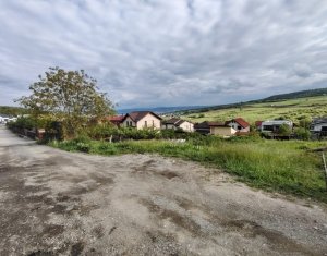 , 616m2 in Cluj-napoca, zona Iris