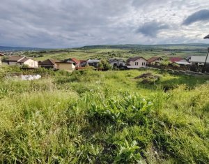 PUZ Avansat! Teren intravilan Oasului – 243 €/mp acum, 300 €/mp dupa HCL!