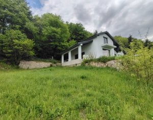 Maison 5 chambres à vendre dans Feleacu