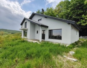 Maison 5 chambres à vendre dans Feleacu