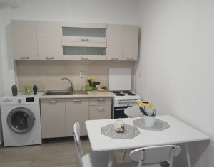 Appartement 2 chambres à louer dans Cluj-napoca, zone Buna Ziua