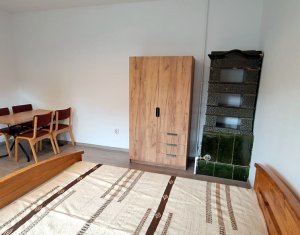 Appartement 1 chambres à louer dans Cluj-napoca, zone Centru