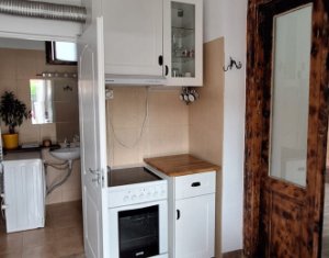 Appartement 1 chambres à louer dans Cluj-napoca, zone Centru