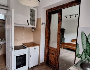 Appartement 1 chambres à louer dans Cluj-napoca, zone Centru