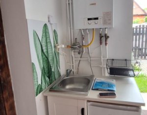 Appartement 1 chambres à louer dans Cluj-napoca, zone Centru