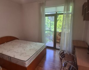 Studio à louer dans Cluj-napoca, zone Zorilor