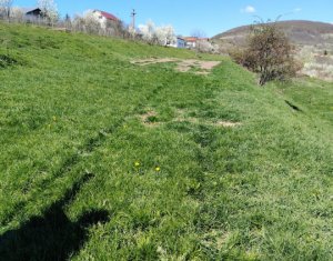 , 3032m2 dans Ciurila