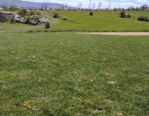 Land for sale in Ciurila