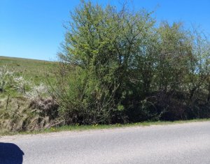 , 8200m2 on Ciurila