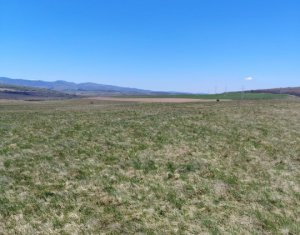 , 10000m2 dans Ciurila
