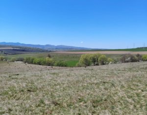 Terrain à vendre dans Ciurila