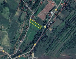 Land for sale in Taga