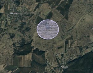 , 2900m2 dans Macicasu