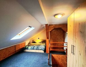 Apartment 2 rooms for rent in Cluj-napoca, zone Centru