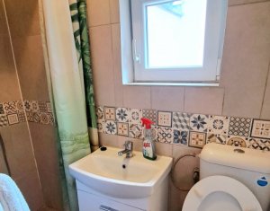 Apartment 2 rooms for rent in Cluj-napoca, zone Centru