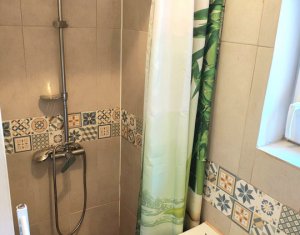 Apartment 2 rooms for rent in Cluj-napoca, zone Centru