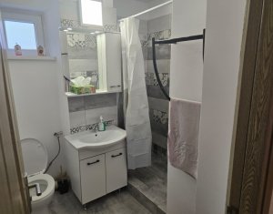 Appartement 2 chambres à louer dans Cluj-napoca, zone Gruia