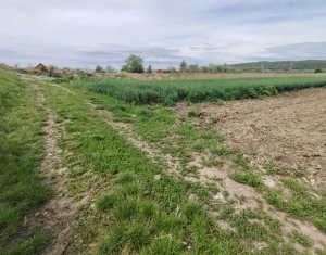 Telek eladó on Apahida