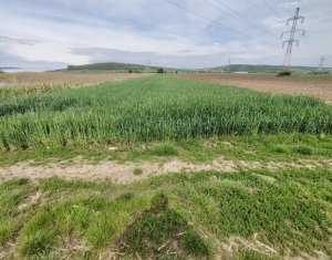 Telek eladó on Apahida