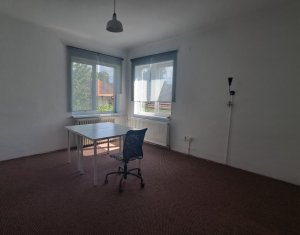 Espace Commercial à louer dans Cluj-napoca, zone Andrei Muresanu