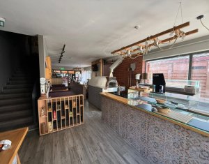 Cladire comerciala sau servicii 320mp, terasa si parcari, complex Hasdeu