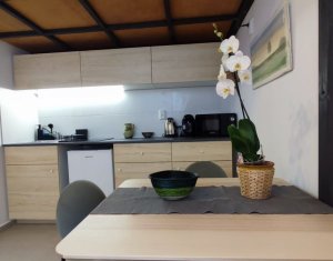 Appartement 1 chambres à vendre dans Cluj-napoca