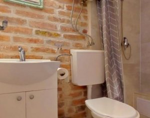 Appartement 1 chambres à vendre dans Cluj-napoca