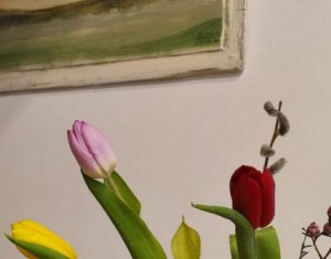 Appartement 1 chambres à vendre dans Cluj-napoca
