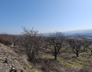 , 8900m2 dans Cluj-napoca, zone Iris
