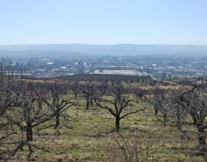 Terrain à vendre dans Cluj-napoca, zone Iris