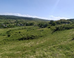 , 626m2 on Cluj-napoca, Zóna Borhanci