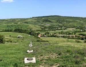 Telek eladó on Cluj-napoca, Zóna Borhanci
