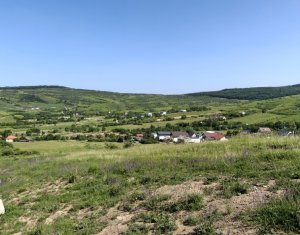 Telek eladó on Cluj-napoca, Zóna Borhanci