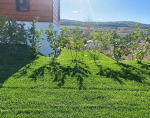 House 4 rooms for sale in Chinteni