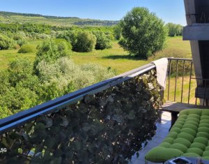 Apartment 3 rooms for rent in Floresti