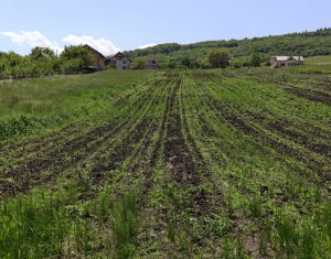 , 2900m2 in Valcele