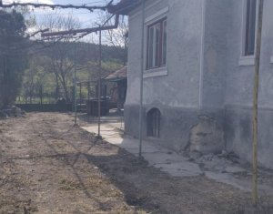 Maison 2 chambres à vendre dans Baciu