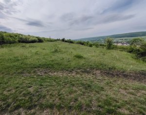 8.700 mp pentru dezvoltare rezidentiala la 3 km de CREIC - Chinteni