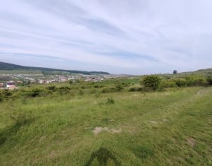 8.700 mp pentru dezvoltare rezidentiala la 3 km de CREIC - Chinteni